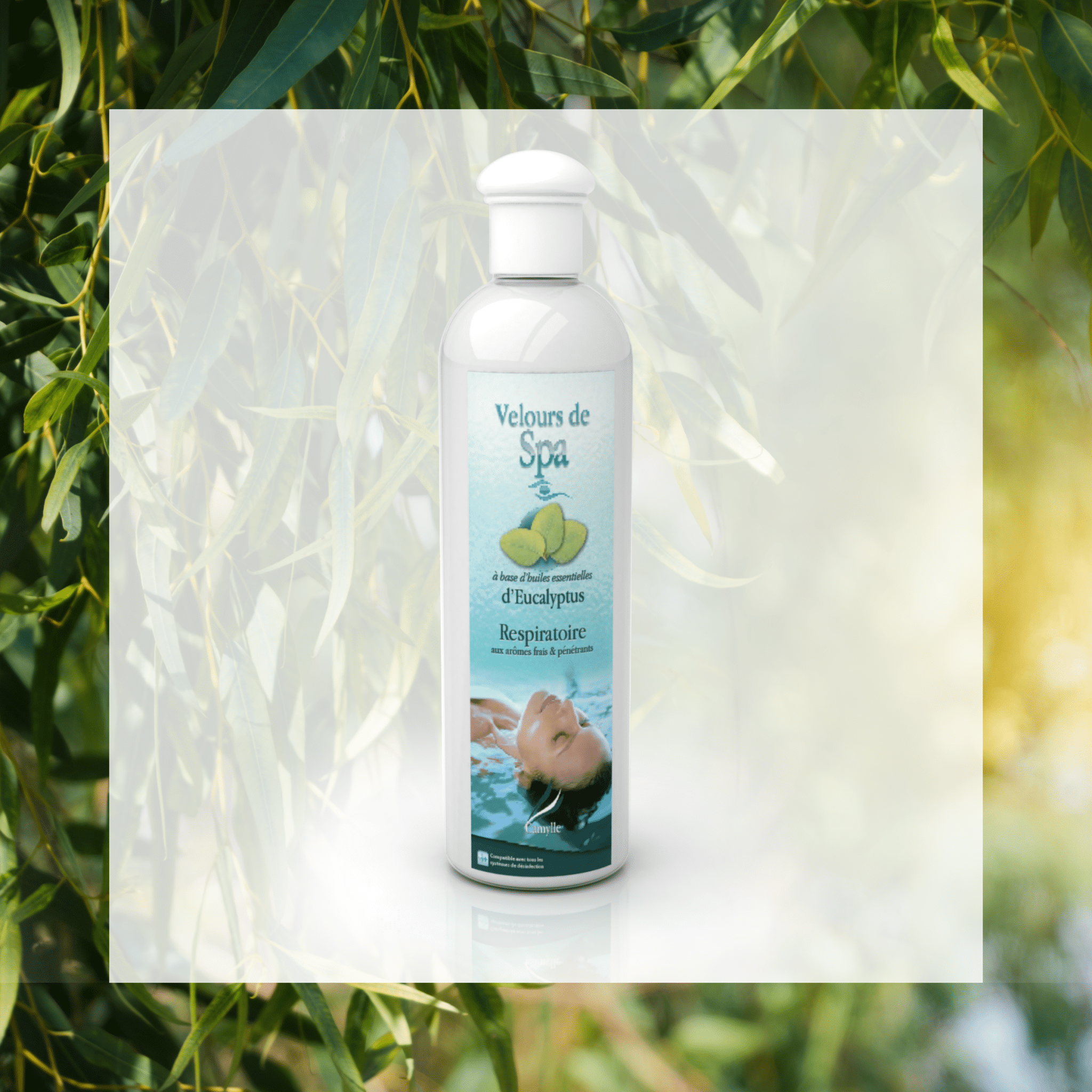 Parfum Eucalyptus - Aromathérapie Camylle - Quality Spa