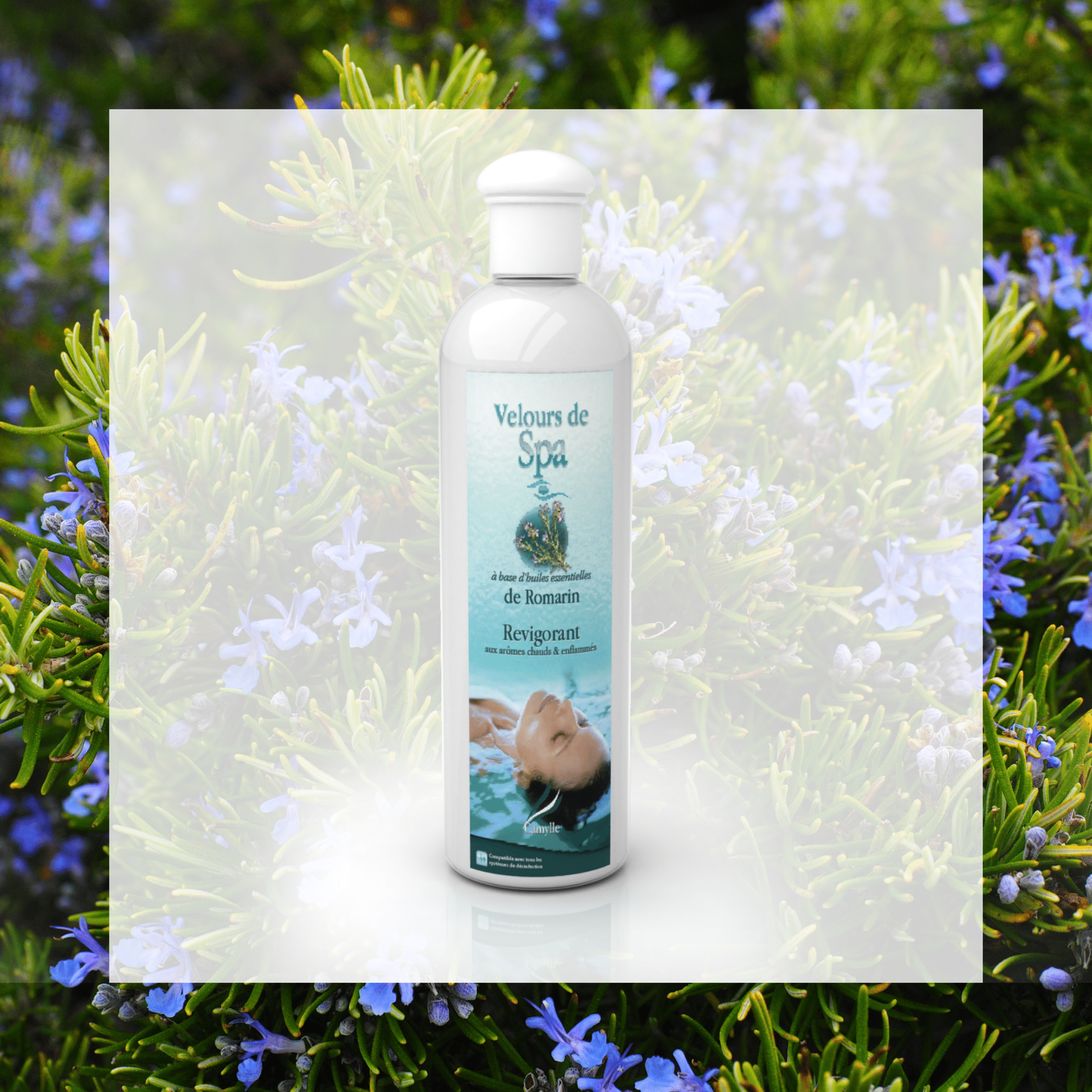 Parfum Romarin - Aromathérapie Camylle - Quality Spa