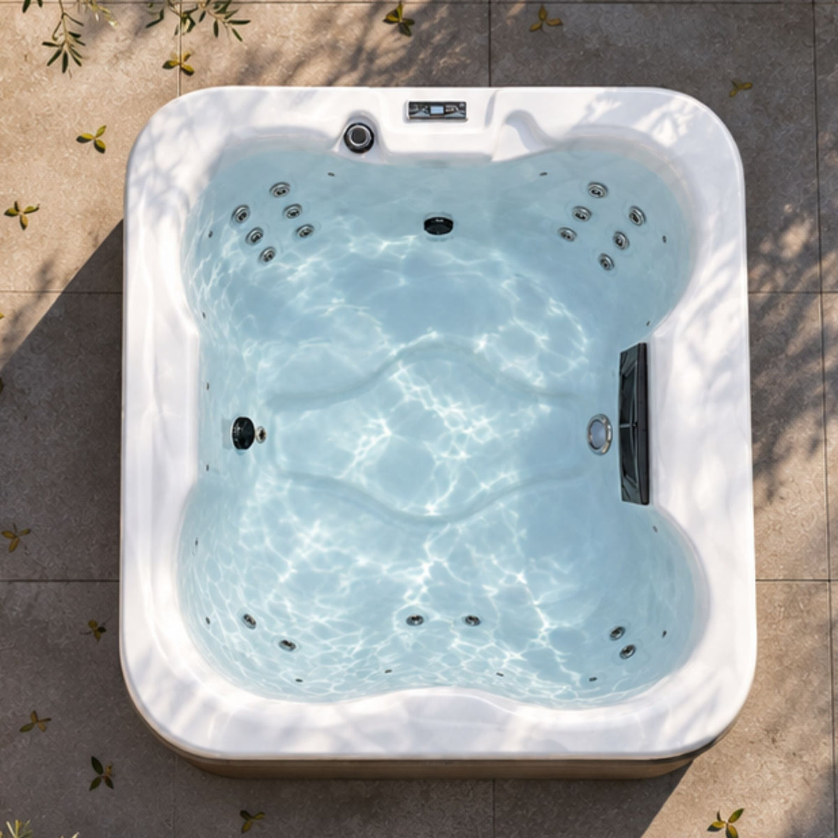 Spa 4 places Arizona - Professionnel